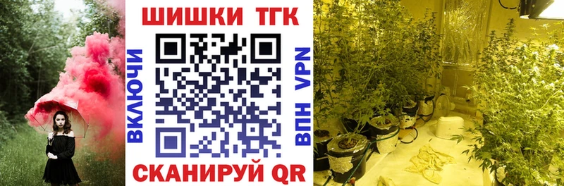 Канабис сатива  Сельцо 